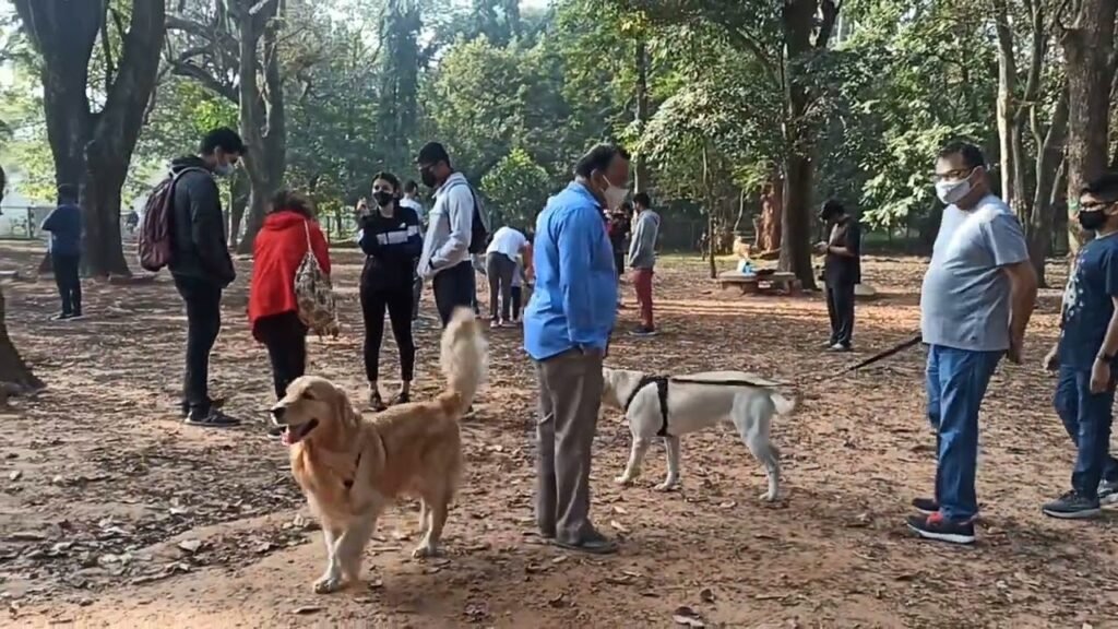 Cubbon Part - Pet-friendly Bengaluru